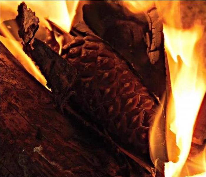 log fire in fireplace